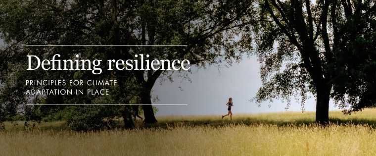 Defining Resilience